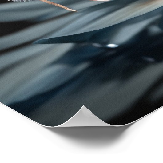 Vlinder-mot Poster (Hoek)