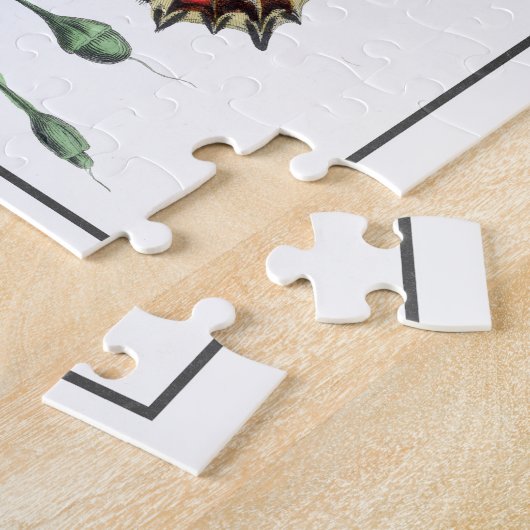 Vlinder & Moth Le Jardin Des Plantes Gervais Legpuzzel (Zijkant)