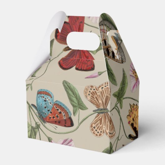 Vlinder Moth Natuur Collectie Tekening Bedankdoosjes (Achterkant)