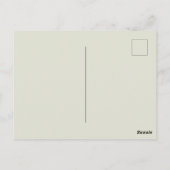 Vlinder Moth Natuur Collectie Tekening Briefkaart (Achterkant)