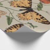 Vlinder Moth Natuur Collectie Tekening Cadeaupapier (Hoek)