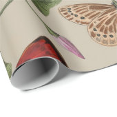 Vlinder Moth Natuur Collectie Tekening Cadeaupapier (Rol Hoek)