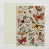 Vlinder Moth Natuur Collectie Tekening Feestdagenkaart (Voorkant / Achterkant)