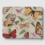 Vlinder Moth Natuur Collectie Tekening Gastenboek (Achterkant)