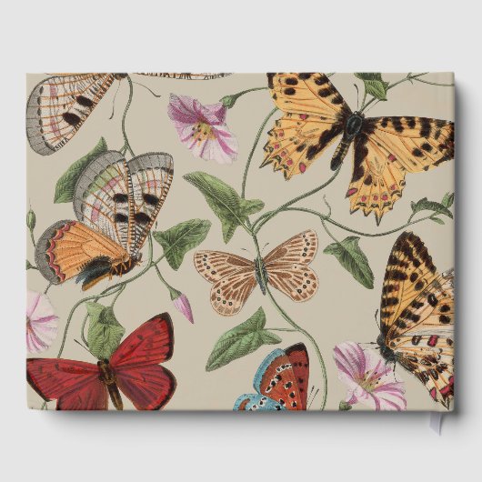 Vlinder Moth Natuur Collectie Tekening Gastenboek (Achterkant)