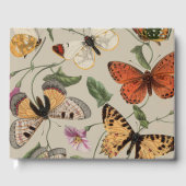 Vlinder Moth Natuur Collectie Tekening Gastenboek (Voorkant)