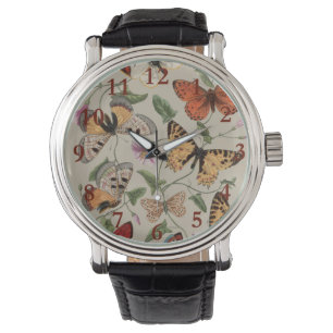 Vlinder Moth Natuur Collectie Tekening Horloge