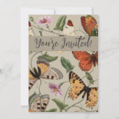 Vlinder Moth Natuur Collectie Tekening Kaart (Voorkant)