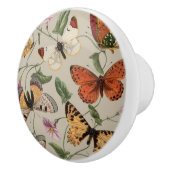 Vlinder Moth Natuur Collectie Tekening Keramische Knop (Rechts)