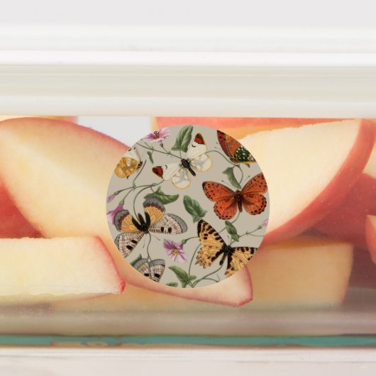 Vlinder Moth Natuur Collectie Tekening Labels (Aangebracht)