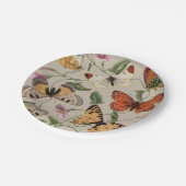 Vlinder Moth Natuur Collectie Tekening Papieren Bordje (Gekanteld)