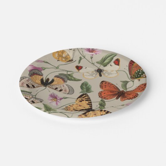 Vlinder Moth Natuur Collectie Tekening Papieren Bordje (Gekanteld)