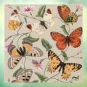 Vlinder Moth Natuur Collectie Tekening Raamsticker (Vel 3)