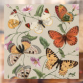 Vlinder Moth Natuur Collectie Tekening Raamsticker (Vel 2)
