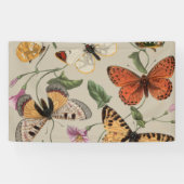 Vlinder Moth Natuur Collectie Tekening Spandoek (Horizontaal)
