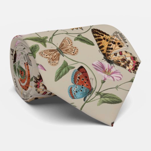 Vlinder Moth Natuur Collectie Tekening Stropdas (Opgerold)