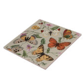 Vlinder Moth Natuur Collectie Tekening Tegeltje (Zijkant)