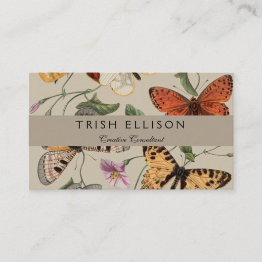 Vlinder Moth Natuur Collectie Tekening Visitekaartje (Voorkant)