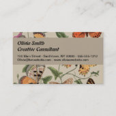 Vlinder Moth Natuur Collectie Tekening Visitekaartje (Voorkant)