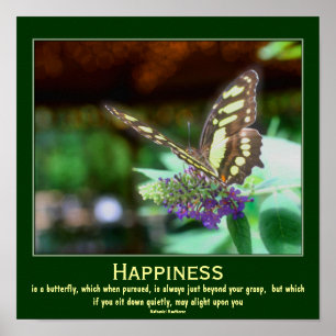 Vlinder Motiverende Quote over Geluk Poster
