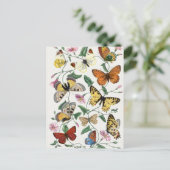 vlinder & motschilderij briefkaart (Staand voorkant)