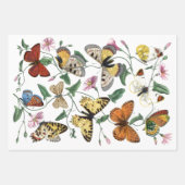  vlinder & motschilderij inpakpapier vel (Voorkant)