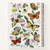  vlinder & motschilderij notitieboek (Achterkant)