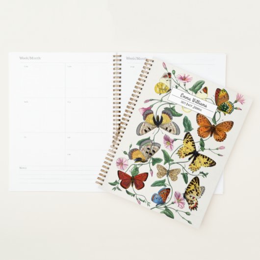  vlinder & motschilderij planner (Display)