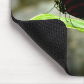 Vlinder Muismat (Hoek)