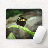 Vlinder Muismat (Met muis)