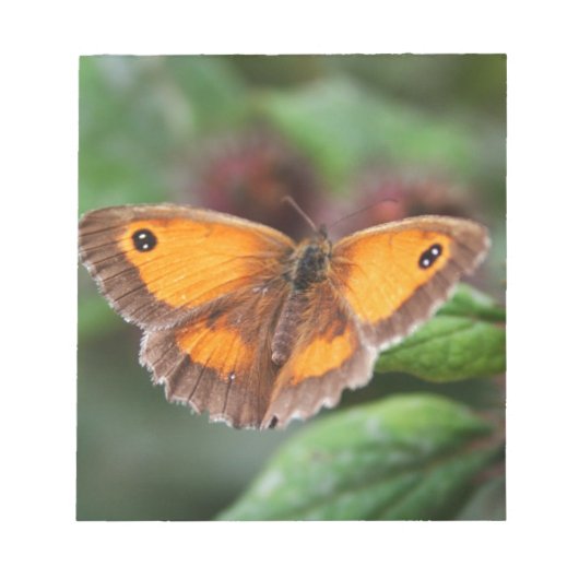 Vlinder Notitieblok (Voorkant)