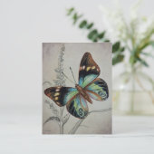  vlinder nr. 1 Waterverf art. Briefkaart (Staand voorkant)