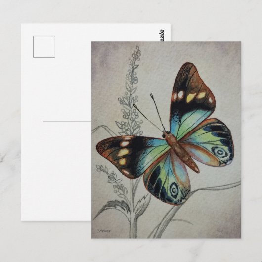  vlinder nr. 1 Waterverf art. Briefkaart (Voorkant / Achterkant)