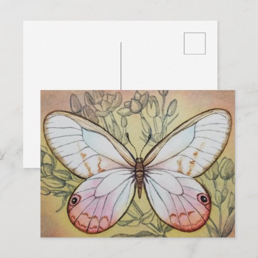 vlinder nr. 6 Waterverf art. Briefkaart (Voorkant / Achterkant)
