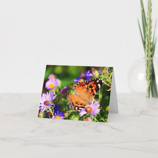 Vlinder op Aster bloemen briefkaart/wenskaart Kaart (Voorkant)