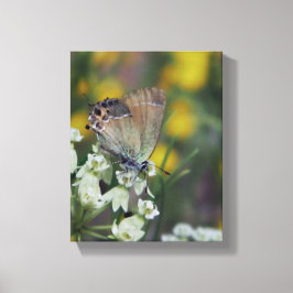 Vlinder op bloem canvas afdruk