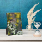 Vlinder op bloem fotoplaat (Zijkant)