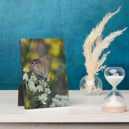 Vlinder op bloem fotoplaat (Zijkant)