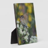 Vlinder op bloem fotoplaat (Zijkant)