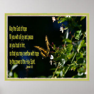 Vlinder op bloem Romeinen 15:13 Poster