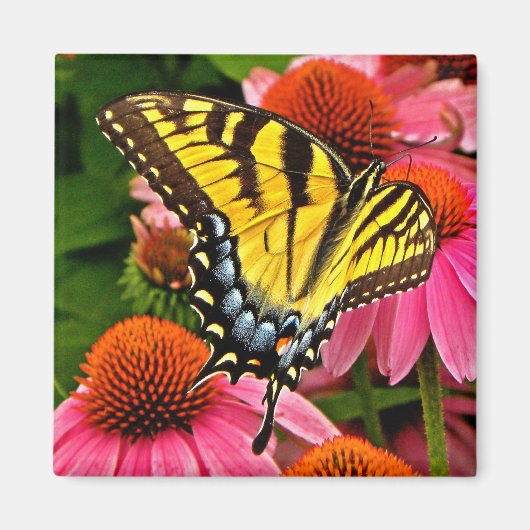 Vlinder op Bloem v22 Magneet (Voorkant)
