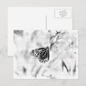 vlinder op bloem - zwart en wit briefkaart (Voorkant / Achterkant)