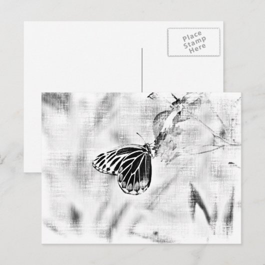 vlinder op bloem - zwart en wit briefkaart (Voorkant / Achterkant)