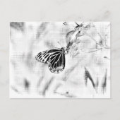vlinder op bloem - zwart en wit briefkaart (Voorkant)