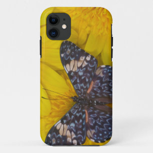 Vlinder op een Gele Bloem Case-Mate iPhone Case