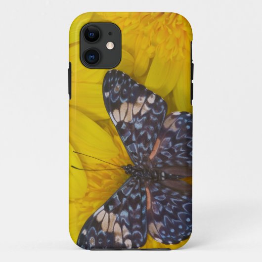Vlinder op een Gele Bloem Case-Mate iPhone Case (Achterkant)