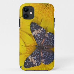 Vlinder op een Gele Bloem iPhone 11 Hoesje