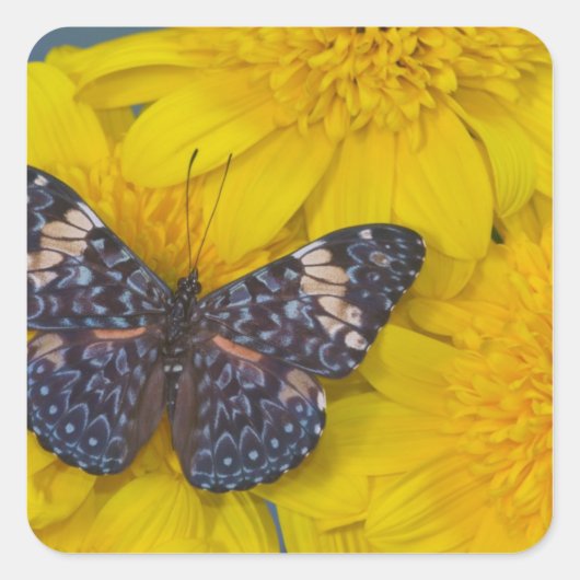 Vlinder op een gele bloem vierkante sticker (Voorkant)