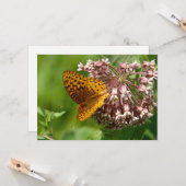 Vlinder op een kroos - plat Wenskaart Kaart (Voorkant / Achterkant in situ)