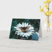 Vlinder op een madeliefje kaart (Gele Bloem)